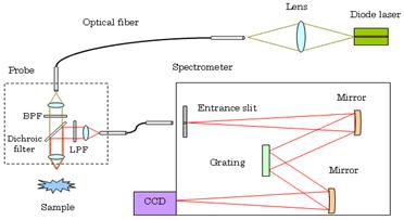 B&W Tek社 ラマン分光装置　基本構成図
